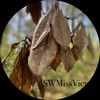 swmissviews